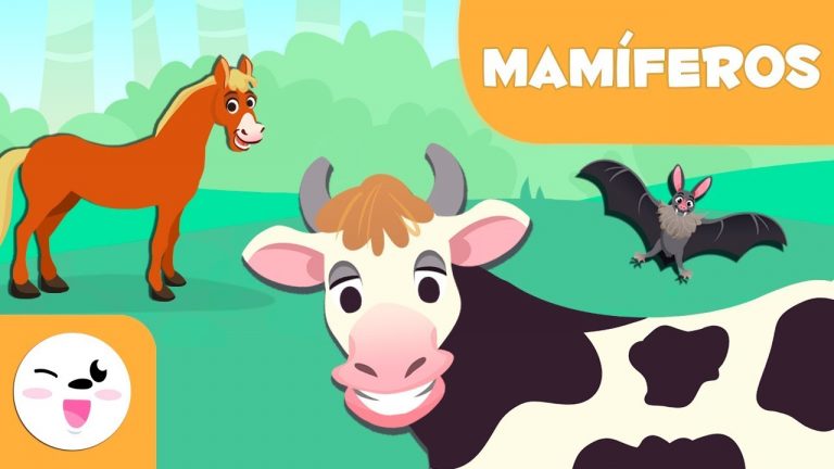 ¿qué son los mamíferos y ejemplos?